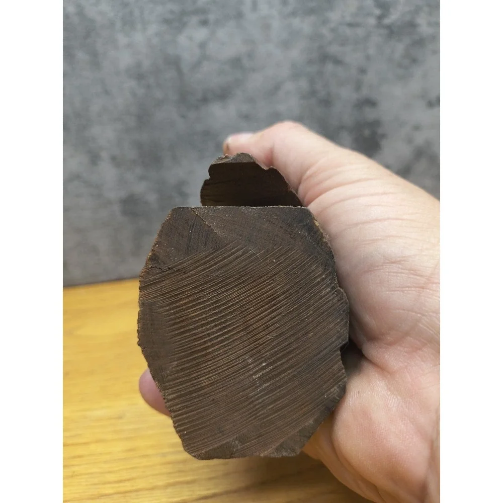 Large Ironwood Owl